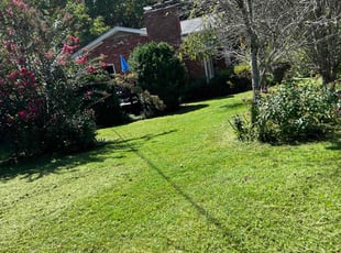 Jonathan P.'s Lawn Care service result