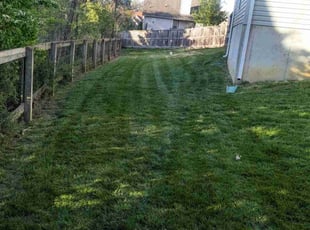 Jamie L.'s Yard Cutting service result