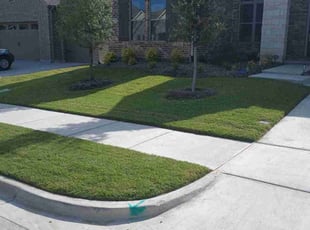 Leta W.'s Lawn Mowing service result