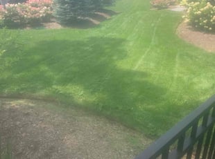 Victoria M.'s Grass Cutting service result