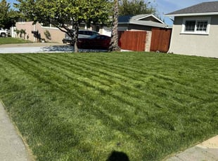 Patrick Z.'s Yard Cutting service result
