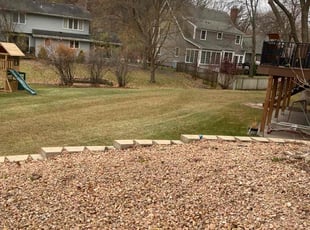 Leaf Removal by Matson Courrier for Mike R. in Minneapolis, MN