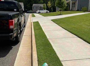 Kendra B.'s Yard Cutting service result