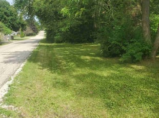 Jerry E H.'s Lawn Mowing service result