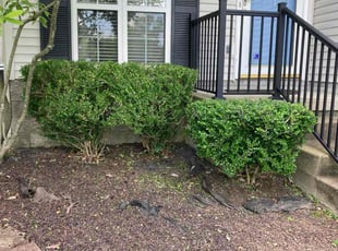 Landscaping by Joel Laumas for Cindy L. in Lexington, KY