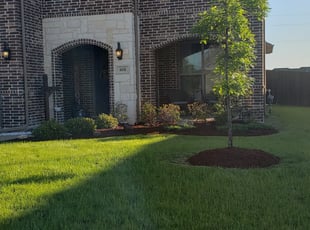 Weeding by Macey Wheeler for Samantha D. in Forney, TX
