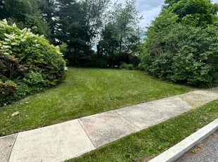 Tabitha H.'s Lawn Mowing Service service result