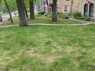 Leaf Removal by Arnan Valmont for John K. in Milwaukee, WI