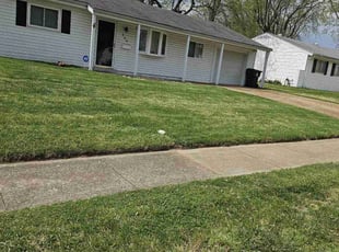 Ragu N.'s Lawn Mowing service result