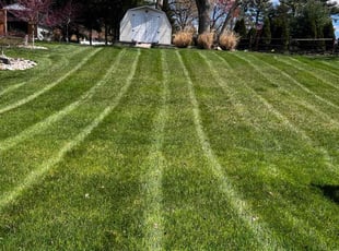 India W.'s Yard Cutting service result