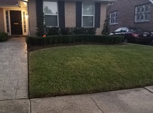 Bush Trimming by Robert Keir for Yasmin W. in New Orleans, LA