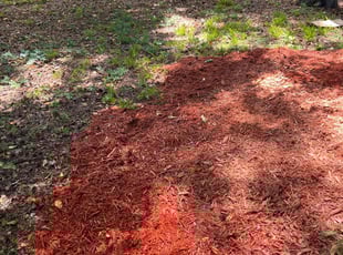 Mulching by Oscar McGee for Sharon L. in Tallahassee, FL