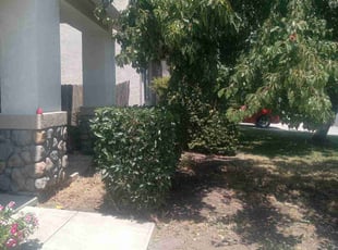 Bush Trimming by Thomas Hancock for undefined K. in Stockton, CA