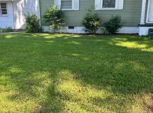 Barbara R.'s Lawn Mowing service result
