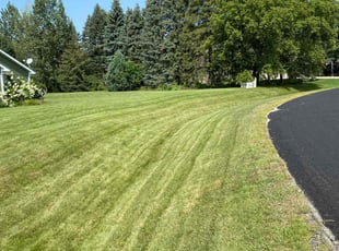 Cheryl C.'s Lawn Mowing Service service result