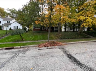 Leaf Removal by Demetrius Bennett Jr for John S. in South Euclid, OH