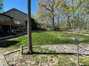 Tammi J.'s Lawn Mowing service result