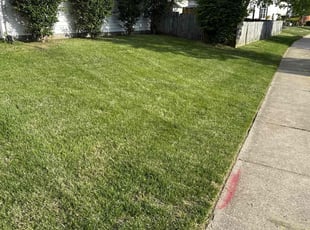 Linda B.'s Lawn Service service result