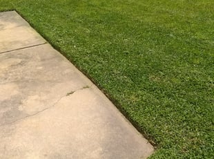 Teresa C.'s Lawn Mowing service result