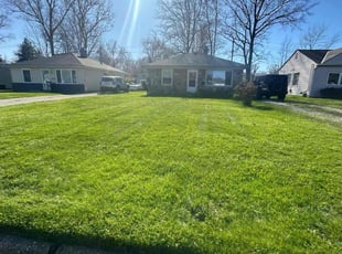 Abood A.'s Yard Cutting service result