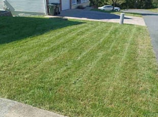Karina B.'s Lawn Care service result