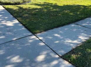 Gina C.'s Lawn Care service result