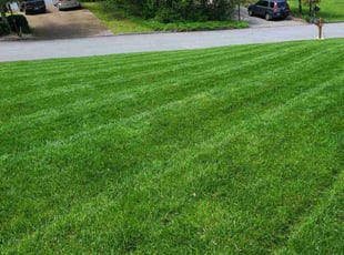 Rob B.'s Lawn Maintenance service result