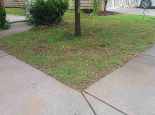 Weeding by Chris Towery for Hyundai K. in Buford, GA