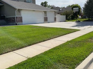 Nic Y.'s Lawn Care service result