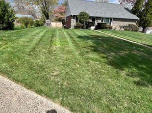 Beth H.'s Grass Cutting service result