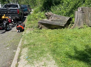 Brandon G.'s Lawn Mowing service result