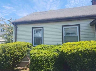Bush Trimming by Dorothy Lecomte for Peter F. in New Bedford, MA