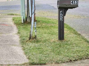 Beth H.'s Lawn Mowing service result