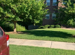 Fred M.'s Lawn Care service result