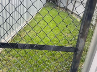 Trisha B.'s Yard Cutting service result