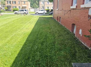 Nicholas S.'s Lawn Mowing service result