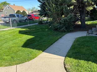 Shelly K.'s Lawn Mowing service result