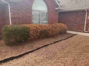 Bush Trimming by Jason George for Marilyn R. in Fort Worth, TX