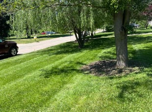 Tina R.'s Lawn Mowing service result