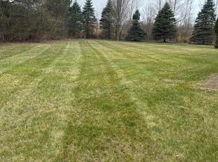 Kelsey M.'s Lawn Maintenance service result