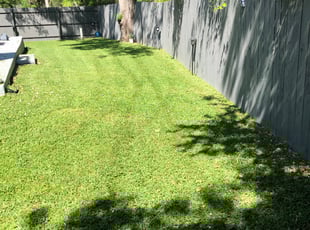 Chelsi P.'s Grass Cutting service result