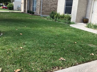 Kaitlyn C.'s Lawn Care service result