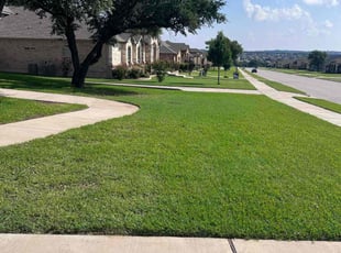 Sergio M.'s Lawn Mowing service result
