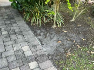 Weeding by Mila Boza for Grey H. in Windermere, FL