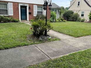 cecil t.'s Lawn Care service result