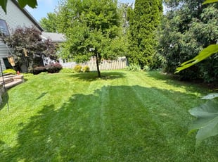 Barry R.'s Lawn Service service result