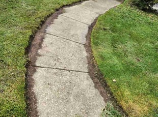 Lauranne B.'s Lawn Mowing service result