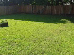James L.'s Lawn Maintenance service result
