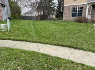 Stephanie S.'s Lawn Maintenance service result