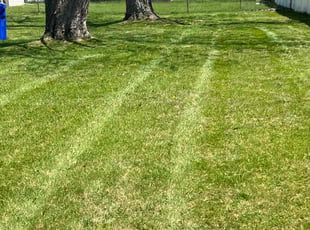 Mary F.'s Lawn Care service result